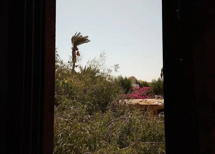 Basata -next To The 1bedroom Apartment Dahab
