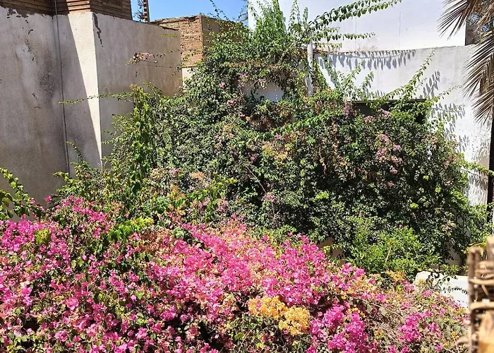 Basata -next To The 1bedroom Dahab